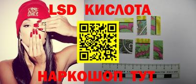 spice Гай