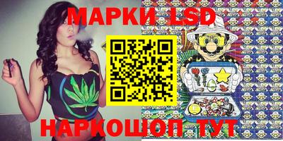 Альфа ПВП Гатчина